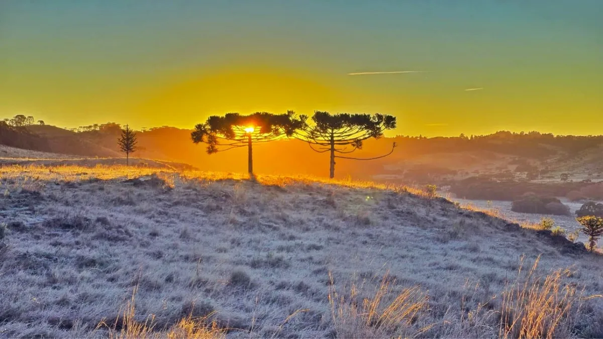 Massa de ar frio congela paisagem em SC e termômetros chegam a -7,7 °C; VÍDEO