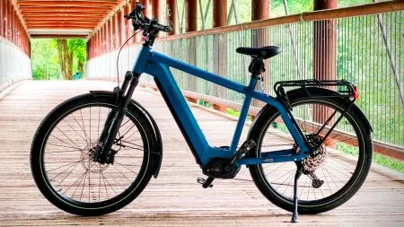 E-Bike-Boom: Fast jeder Dritte in Deutschland besitzt ein Elektrorad