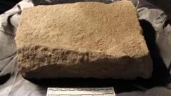 Lost monastery masonry may have been reused for hospital's drain
