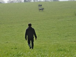 « Une véritable enquête de terrain » : ce doctorant travaille sur le mal-être des agriculteurs en Côtes-d’Armor