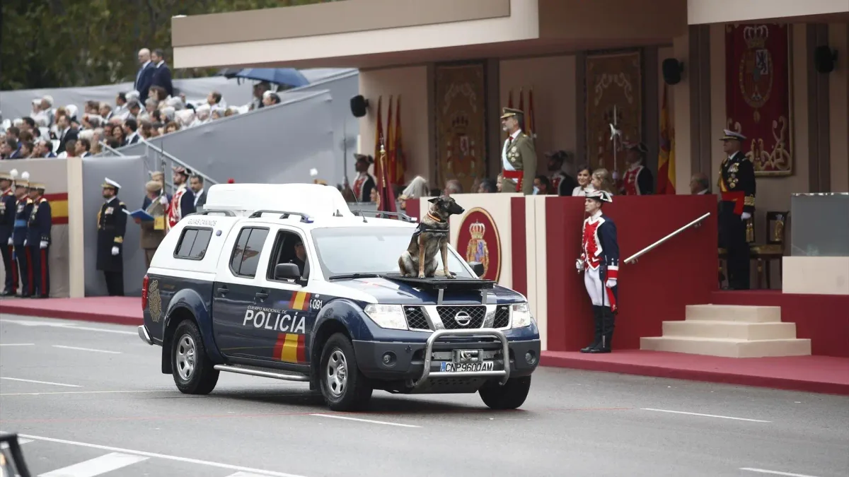 Los cinco perros militares que desfilan este 12 de octubre por el Día de la Hispanidad