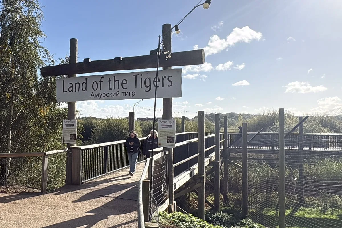 Medical records of tiger victim inappropriately accessed, ambulance service says