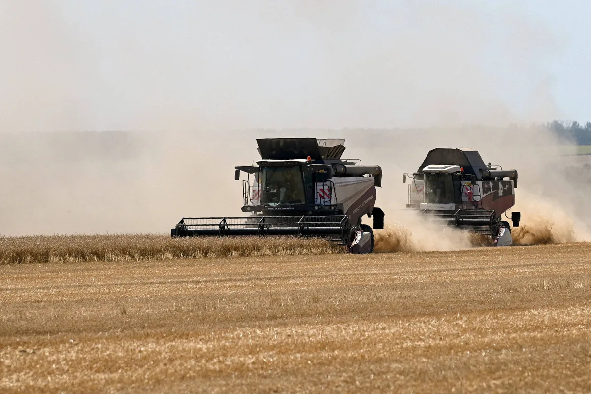 Décadas de ganhos na produção agrícola e estoques fortalecem sistema alimentar global diante do super El Niño