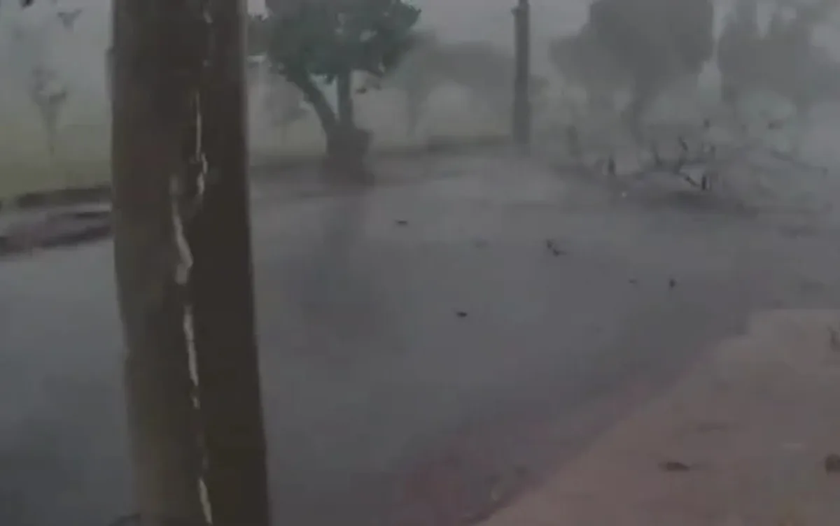 Temporal atinge região de Ribeirão Preto, SP, e provoca chuva de granizo e queda de árvores