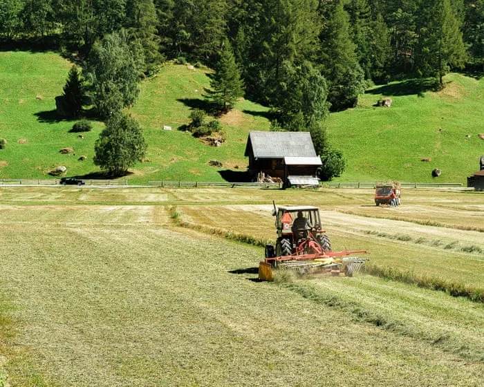 Microplastics in soil pose global threat by acting like ‘Trojan horse’ to deliver toxins