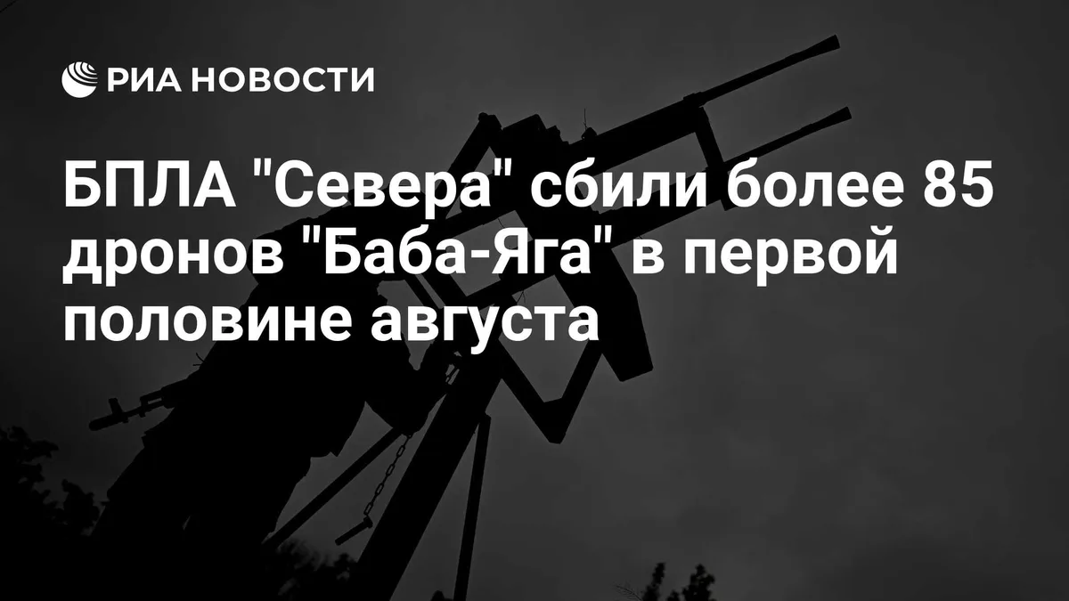 БПЛА "Севера" сбили более 85 дронов "Баба-Яга" в первой половине августа