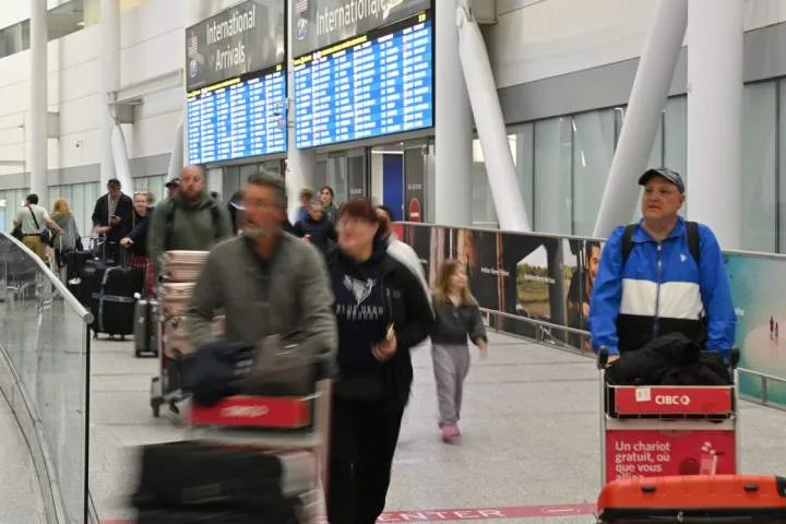 Montreal woman searches for cat last seen at Toronto Pearson airport