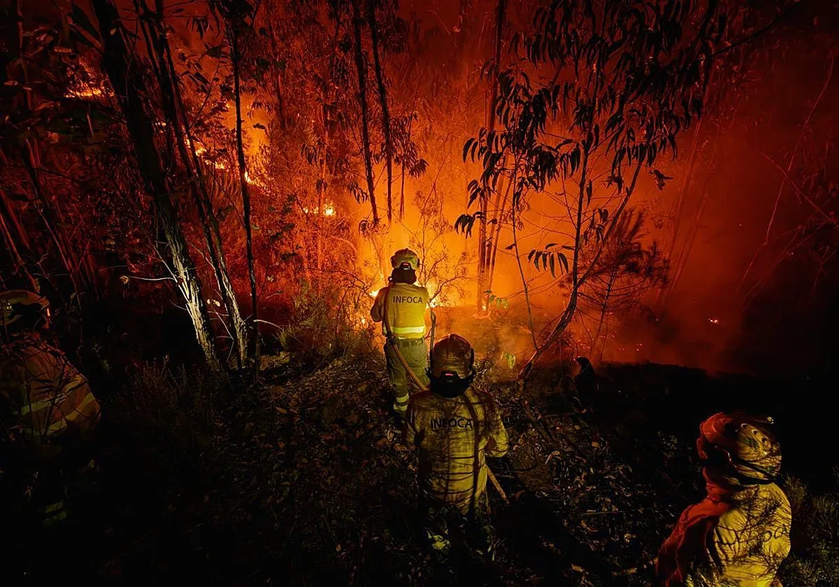 El PSOE exige el cese del director de Emergencias por las «deficiencias» en la gestión de los incendios en Andalucía