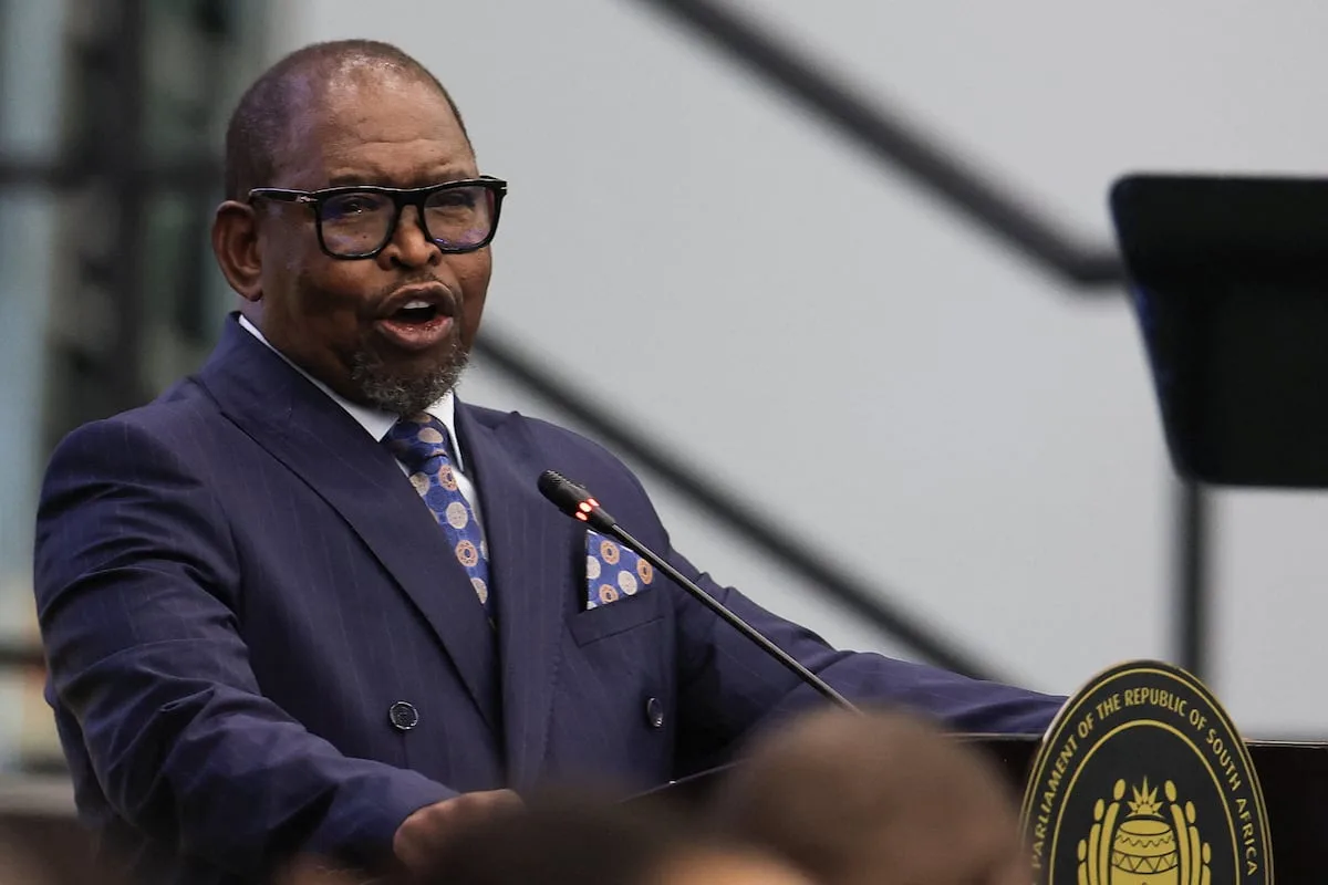 ECONOMIC WEEK AHEAD | Godongwana expected to trim GDP forecast