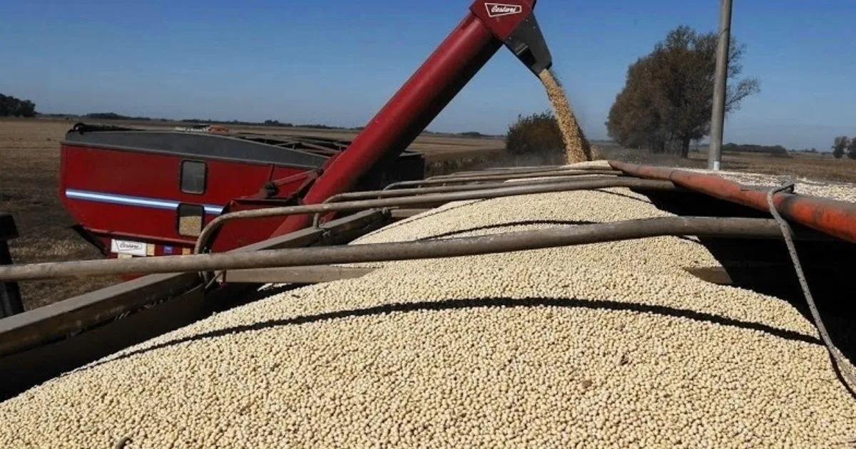 La soja subió 8 dólares y superó los 440 dólares en el mercado internacional