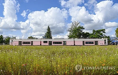 "21억→118억으로 증액"…원주시 '똬리굴 사업' 강원도 감사의뢰