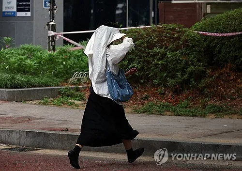 대전충남 곳에 따라 소나기…낮 최고기온 33도