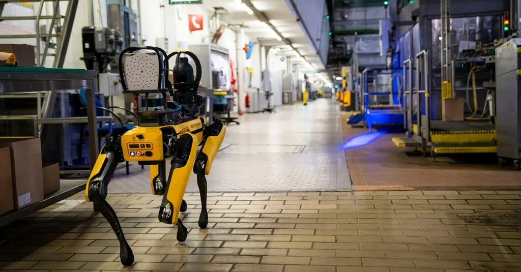 EUA planeiam usar cães-robô em operações de controlo de imigração