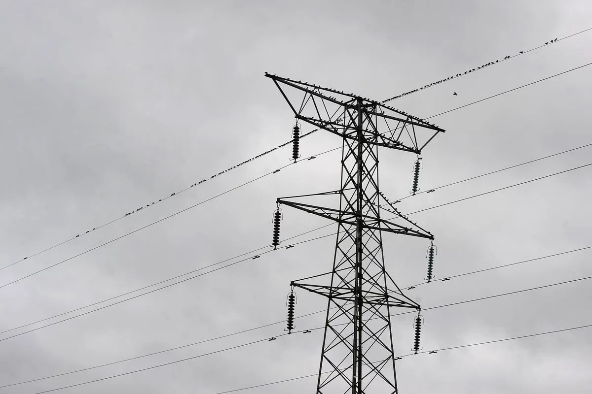 Household electricity bills could fall if time-varying prices promoted – report