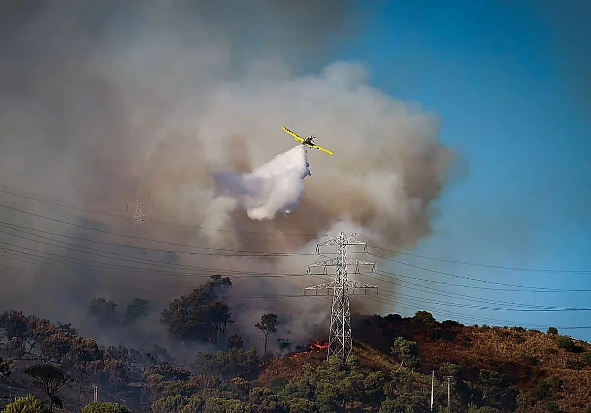 Detienen a un hombre como presunto autor del incendio de Collserola en Barcelona