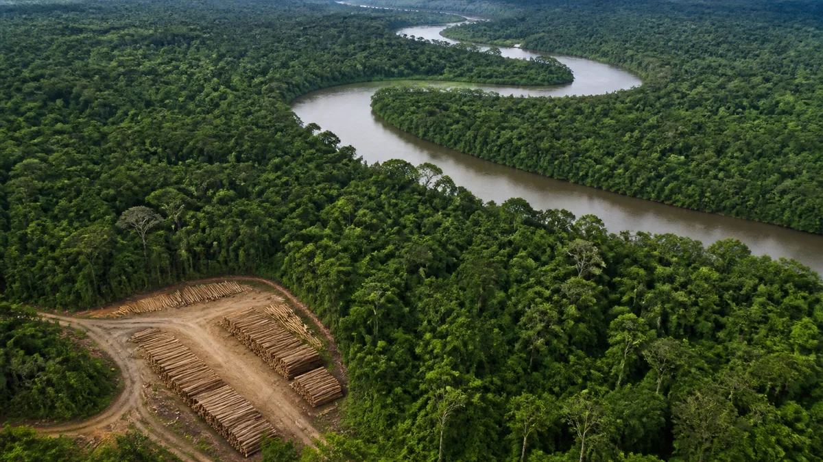 BNDES e Acre avançam em projeto de concessão de florestas estaduais