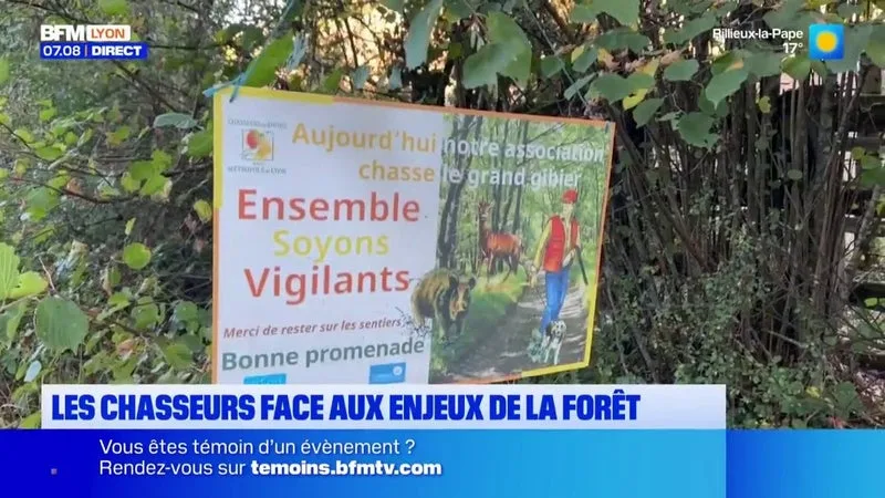 Beaujolais : Les chasseurs face aux enjeux de la forêt