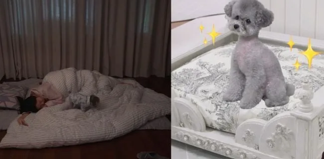 효연, 소녀시대 다 떠났는데..혼자 19년째 숙소 생활 "침대=반려견, 난 바닥"(전참시)