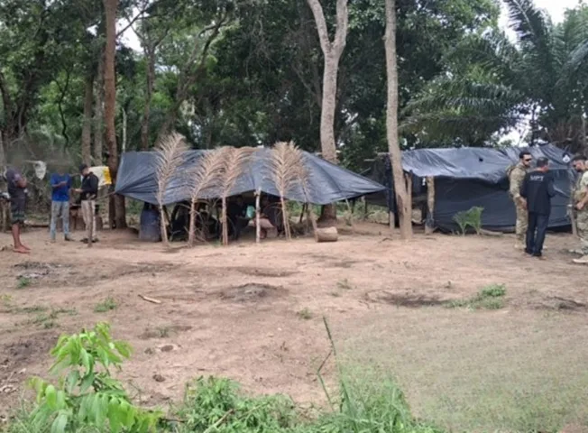 Fazendas com 5,3 mil hectares devem ser destinadas à reforma agrária