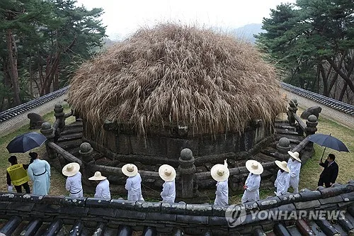 가을볕 아래 억새로 덮인 태조 건원릉…내달 3∼8일 특별 개방