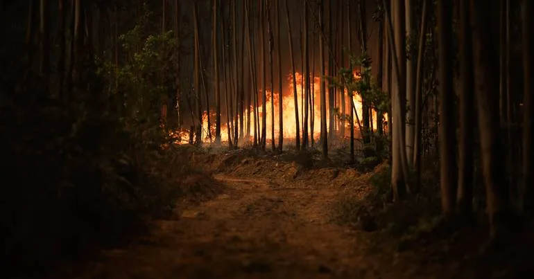 Incêndios: GNR alerta para perigo nos próximos dias