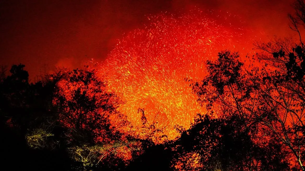 Individuos que habrían provocado incendios en el Tolima fueron detenidos, así lo confirmó el gobierno de Abelardo de la Espriella