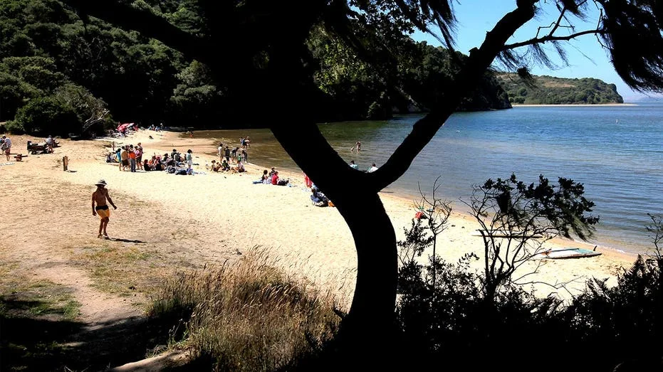 Deadly mystery unfolds as canoeists are found unresponsive after midnight trip