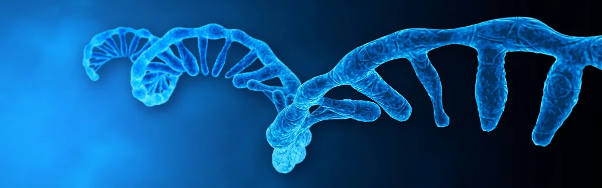 [100세 과학] 살 빼려다 근육까지 손실, RNA 치료제로 막는다