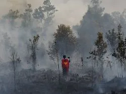 Heftige Waldbrände in Indonesien: Wie ein Jugendlicher als Superman die Flammen bekämpft
