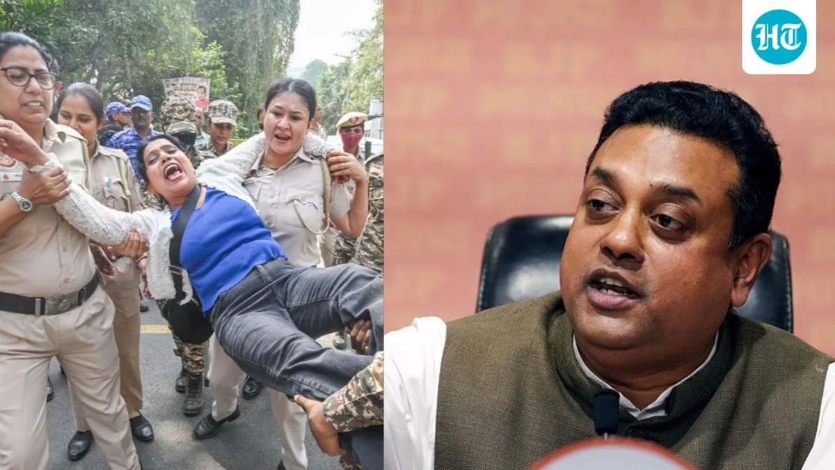 'Jantar Mantar's story not India's story': BJP dismisses anti-CEC protests in Delhi as failure of 'anarchists'