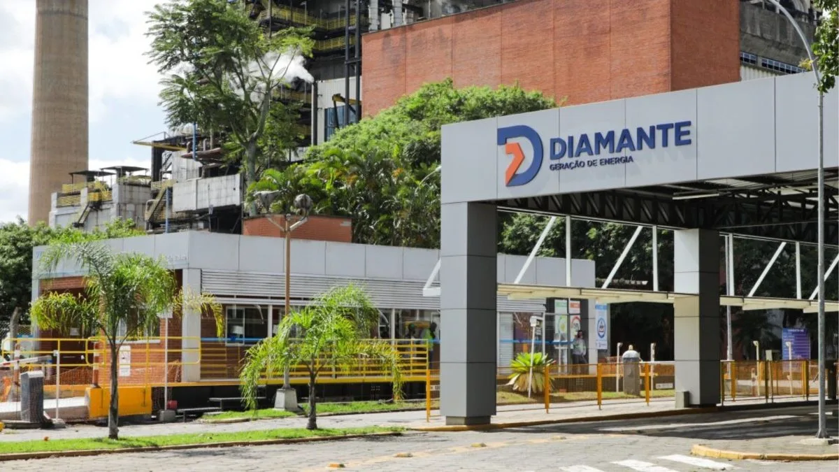 Carvão de coco? Gigante da energia térmica em SC financia estudo inovador de R$ 2,7 milhões sobre produção de biocarvão a partir da casca de coco verde