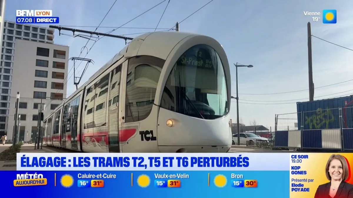 Les lignes des trams T2, T5 et T6 perturbés à Lyon en raison d'opérations d'élagage