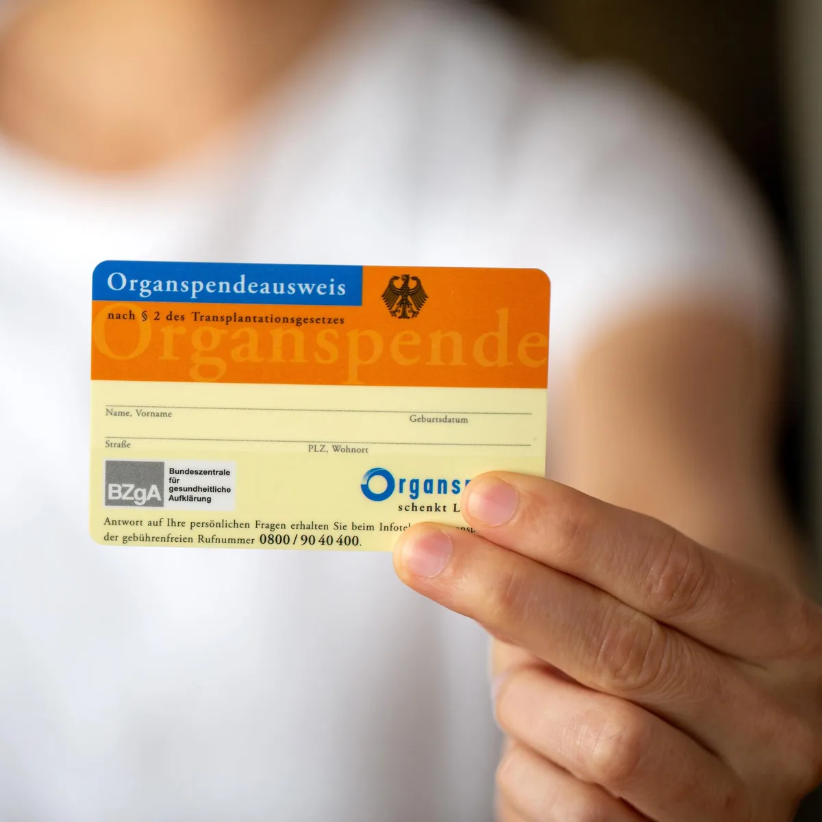 Entscheidung zumutbar? - Bundestag berät über Reform der Organspende - erneuter Anlauf für Widerspruchsregelung