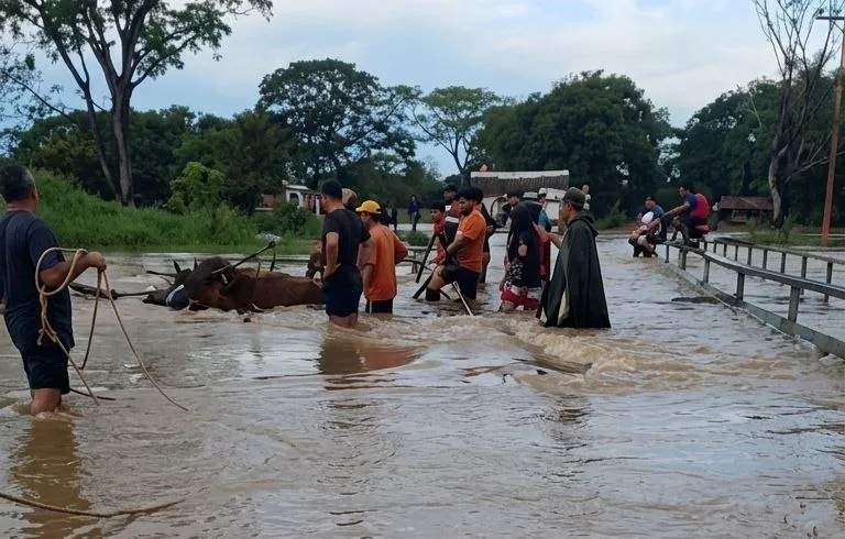 Lluvias afectaron algunos sectores en los municipios Pedraza y Sucre de Barinas