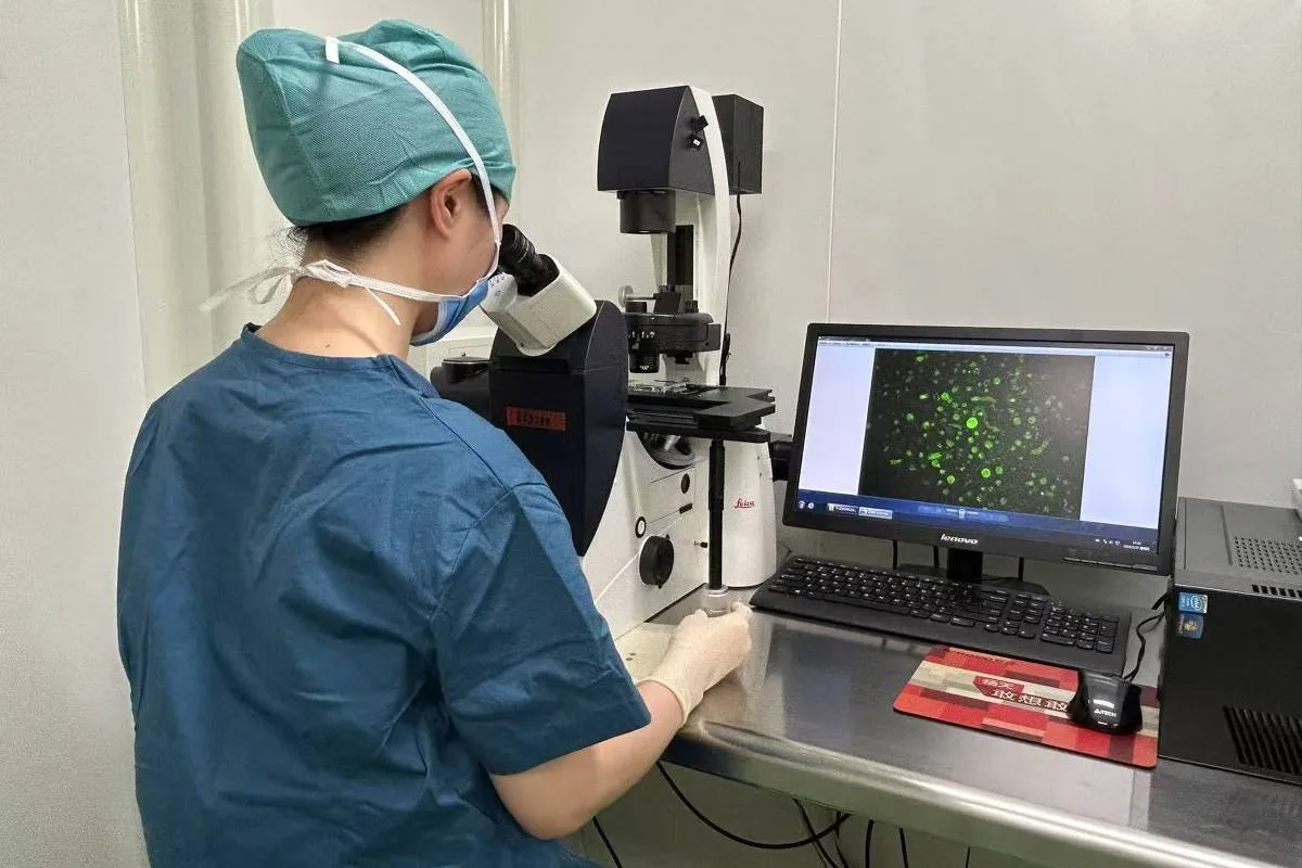 Congelamento de tecido ovariano preserva fertilidade de meninas com câncer e mira adiar menopausa