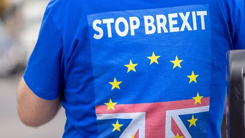 Burnham triggers talk of a Brexit reversal after accusing Russia of meddling in vote