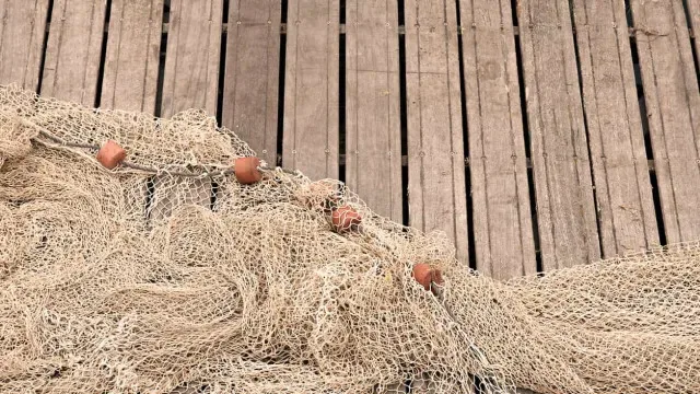 Critérios ambientais pesam pouco na gestão das pescas