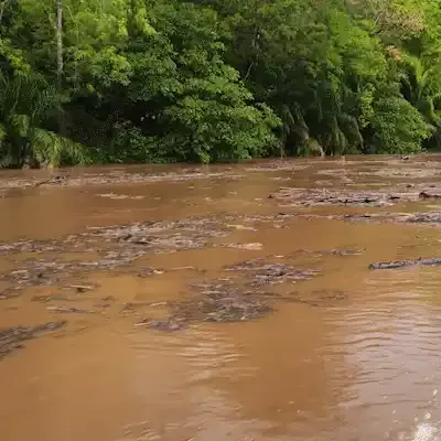 Chuva na cabeceira aumenta correnteza e leva sujeira ao Rio Miranda