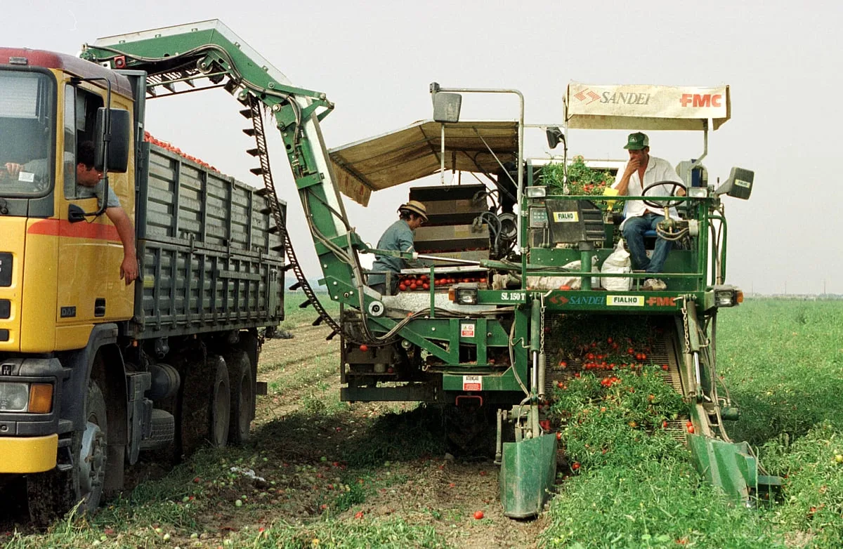 CAP e 150 associações agroflorestais exigem 140 milhões de euros para apoiar competitividade do setor