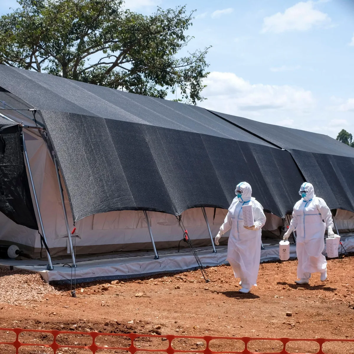 Epidemie - Weltgesundheitsorganisation erklärt den Ebola-Ausbruch in Uganda für beendet - keine Entwarnung für den Kongo