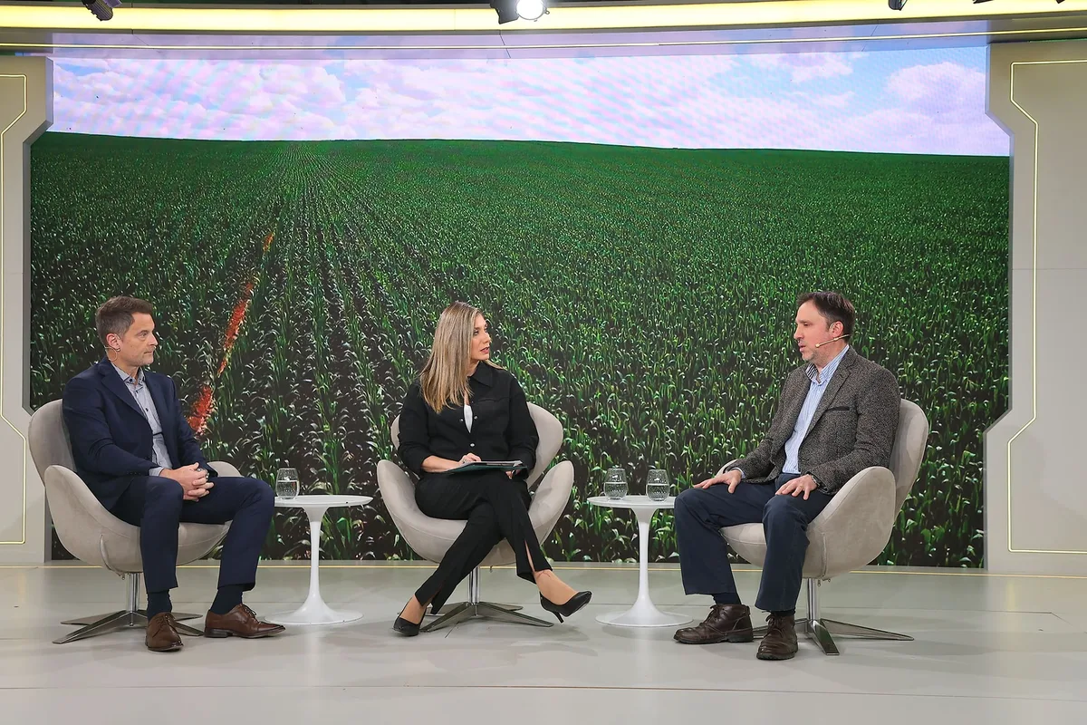“Enorme desafío”: en Banco Provincia ven una oportunidad para crecer en el financiamiento agroindustrial para inversiones