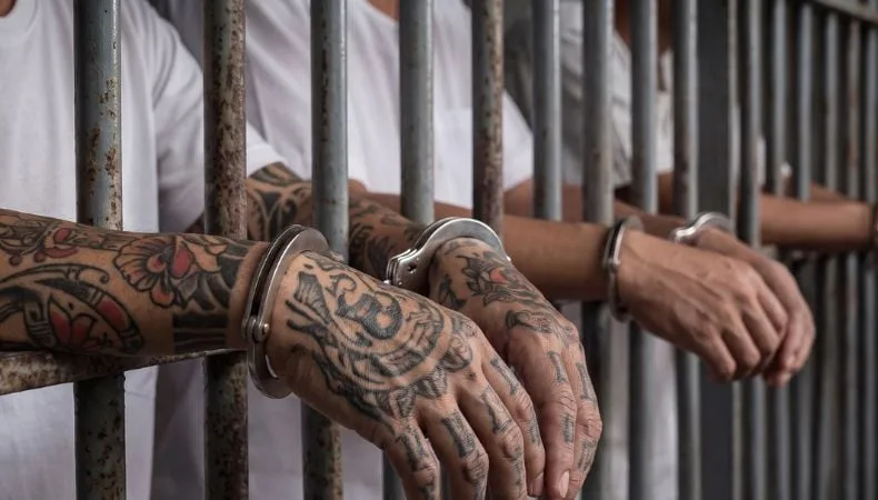 Quince países designaron a la MS-13, el Tren de Aragua y los cárteles mexicanos como amenazas narcoterroristas: la cumbre en Nueva York que activó un nuevo frente regional