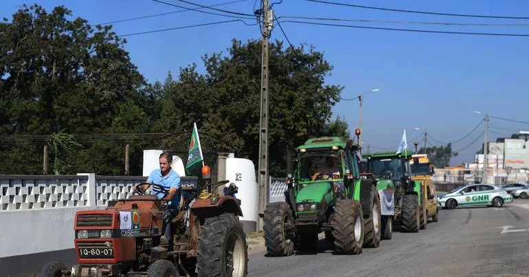 Ovar. Agricultores acusam Governo de abandono