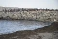 Detenidas cinco personas de dos organizaciones por tráfico ilícito de migrantes desde Ceuta a La Línea (Cádiz)