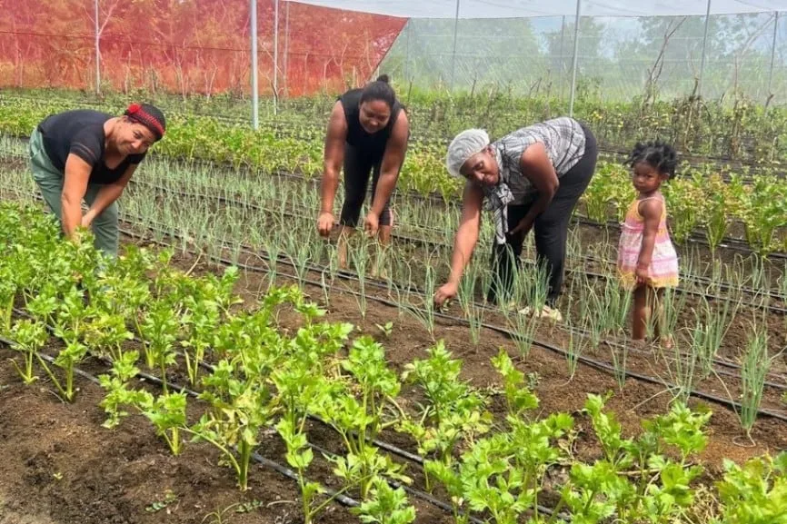 De sembrar para sobrevivir a alimentar a toda una comunidad rural en República Dominicana
