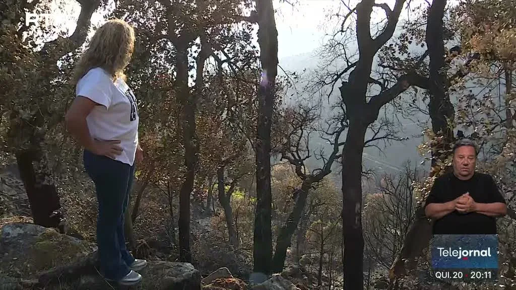 Torre de Moncorvo. Incêndio entrou em resolução ao fim de quatro dias