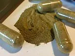 What kratom does to the body... as unregulated herb emerges in connection to deaths of Ole Miss students