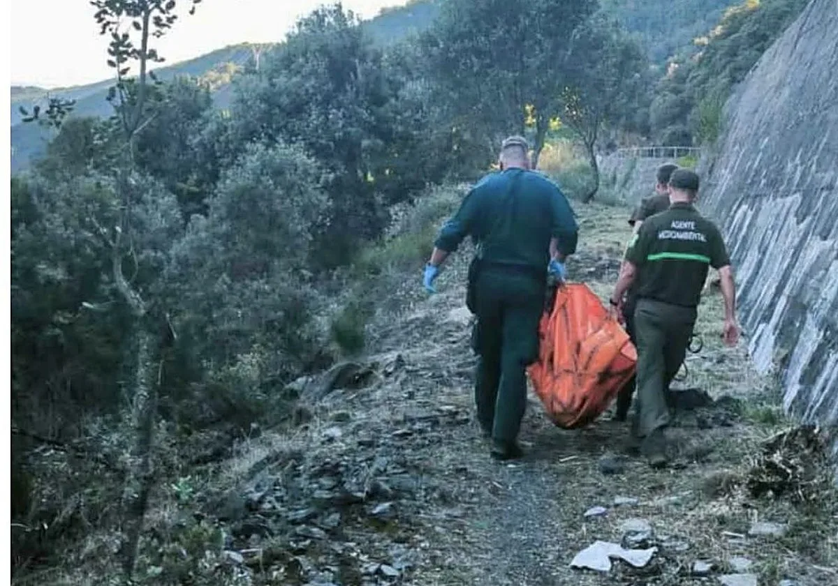 Hallan un oso muerto en un canal de Matarrosa del Sil (León)