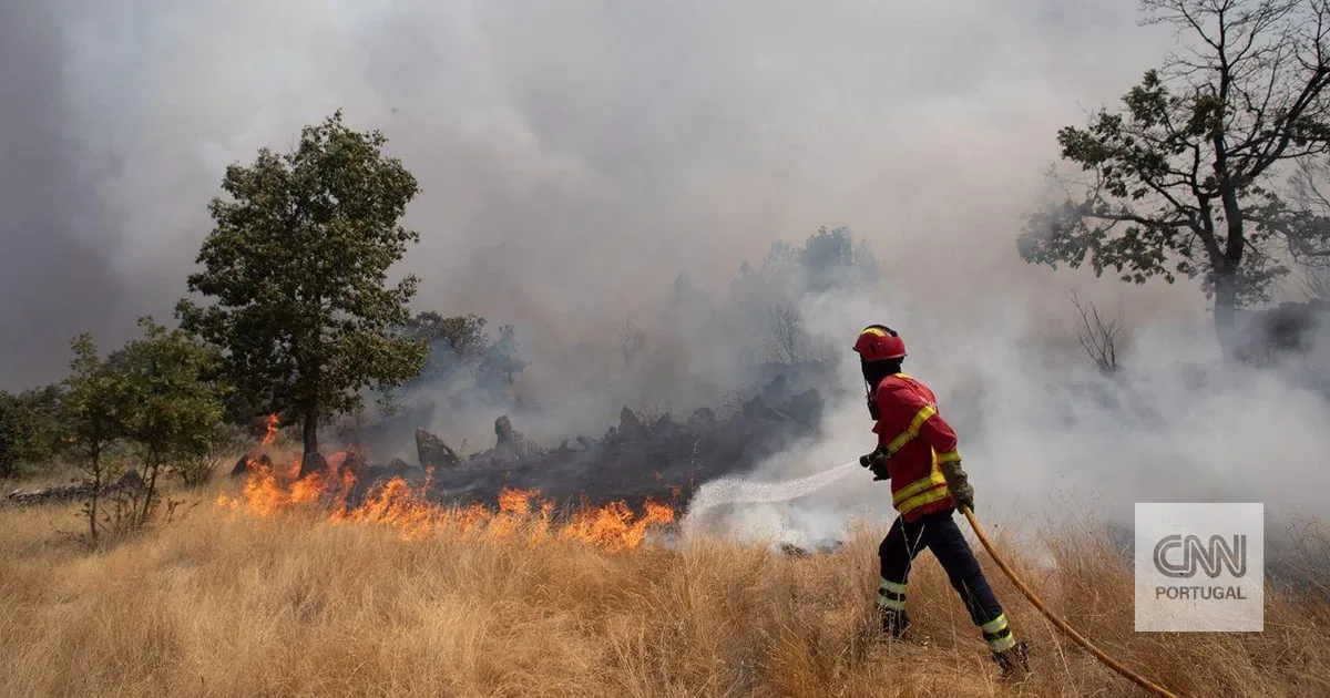PJ detém homem suspeito de ter iniciado quatro incêndios