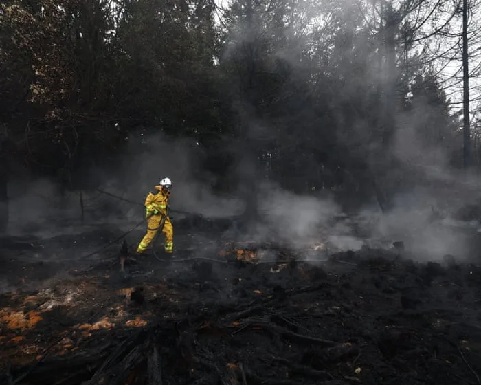 Belgium tackles enormous wildfire as French PM booed on visit to affected region – Europe live